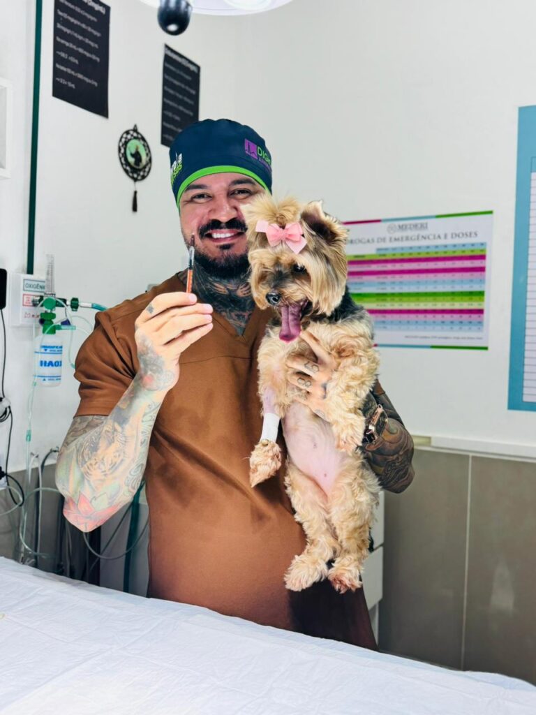 WhatsApp Image 2026-02-06 at 11.51.01