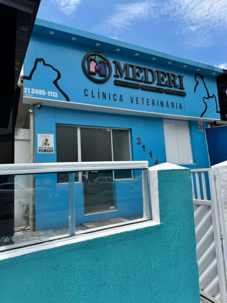 WhatsApp Image 2026-02-06 at 12.00.49