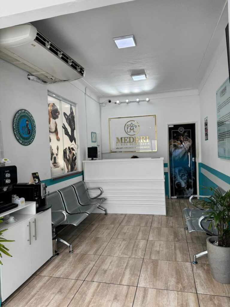 WhatsApp Image 2026-02-06 at 12.03.35 (1)