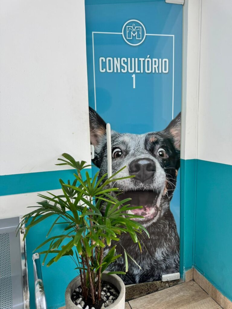 WhatsApp Image 2026-02-06 at 12.03.35