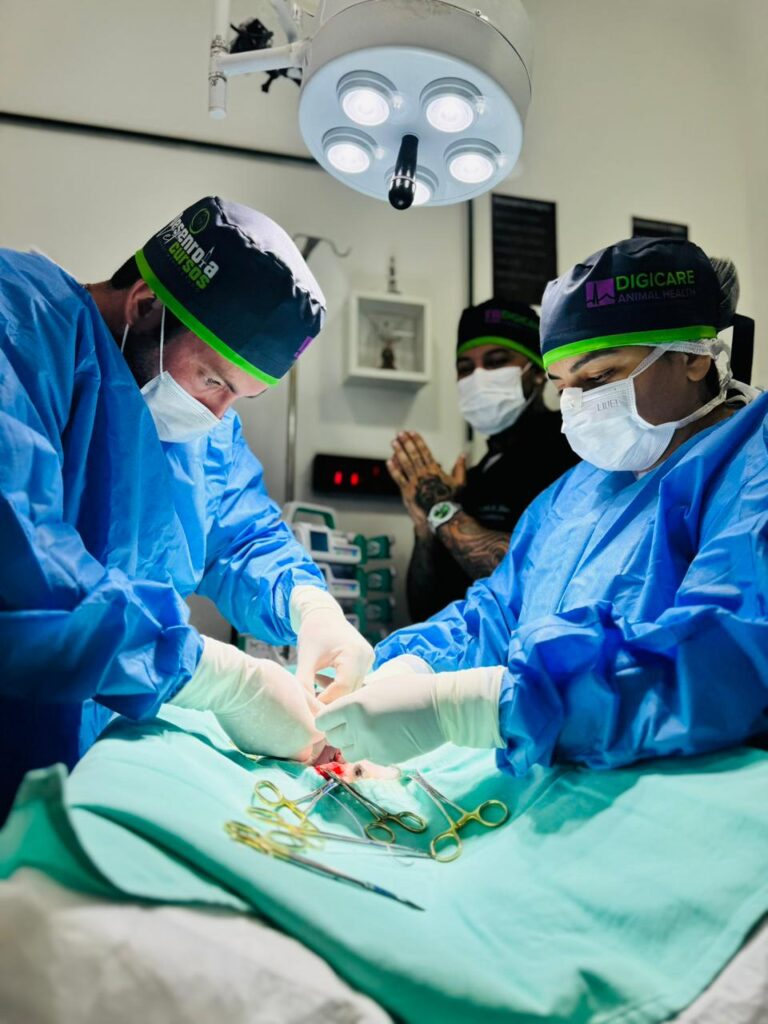 WhatsApp Image 2026-02-06 at 17.12.13