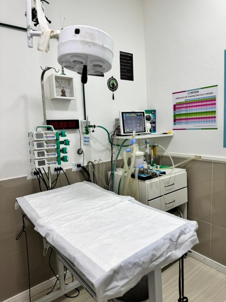 WhatsApp Image 2026-02-06 at 17.15.14