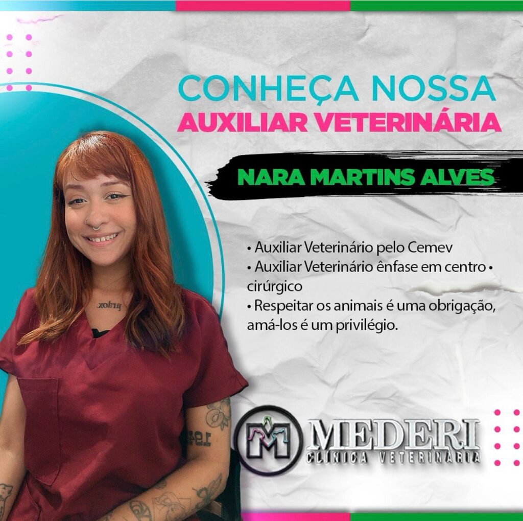 WhatsApp Image 2026-02-06 at 17.18.59 (3)