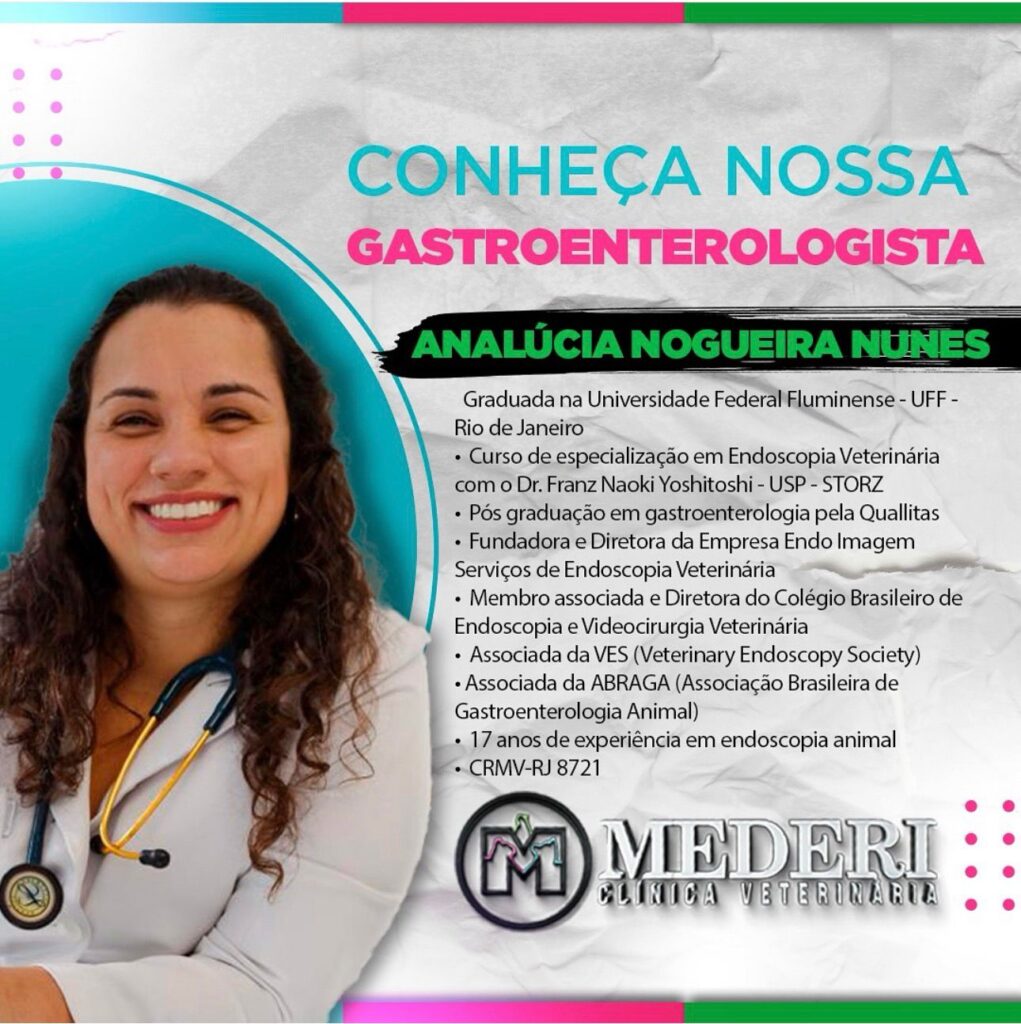 WhatsApp Image 2026-02-06 at 17.19.00