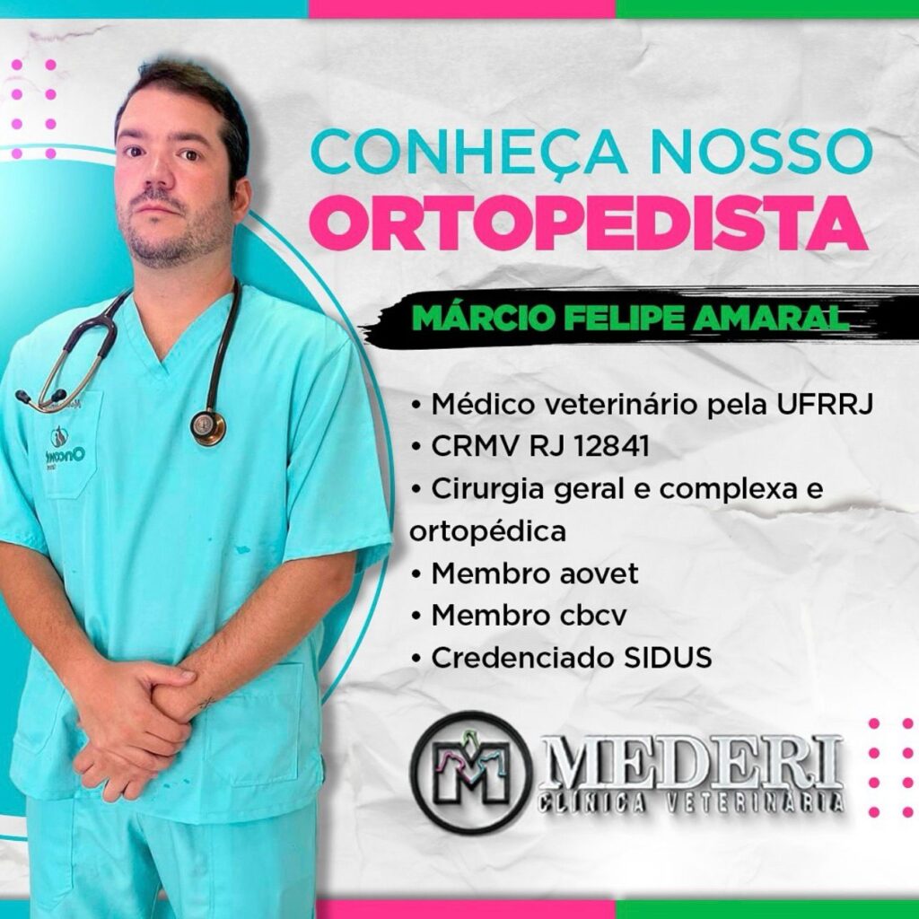 WhatsApp Image 2026-02-06 at 17.19.00 (2)