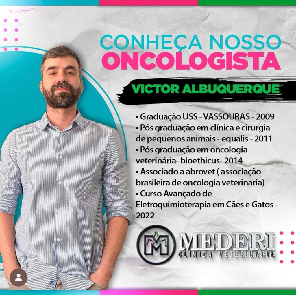 WhatsApp Image 2026-02-06 at 17.19.00 (4)